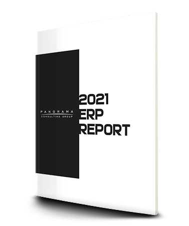 erp-report-cover-3d panorama erp report