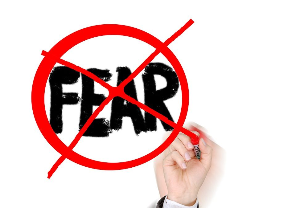 Why are organizations afraid of getting into an ERP project?