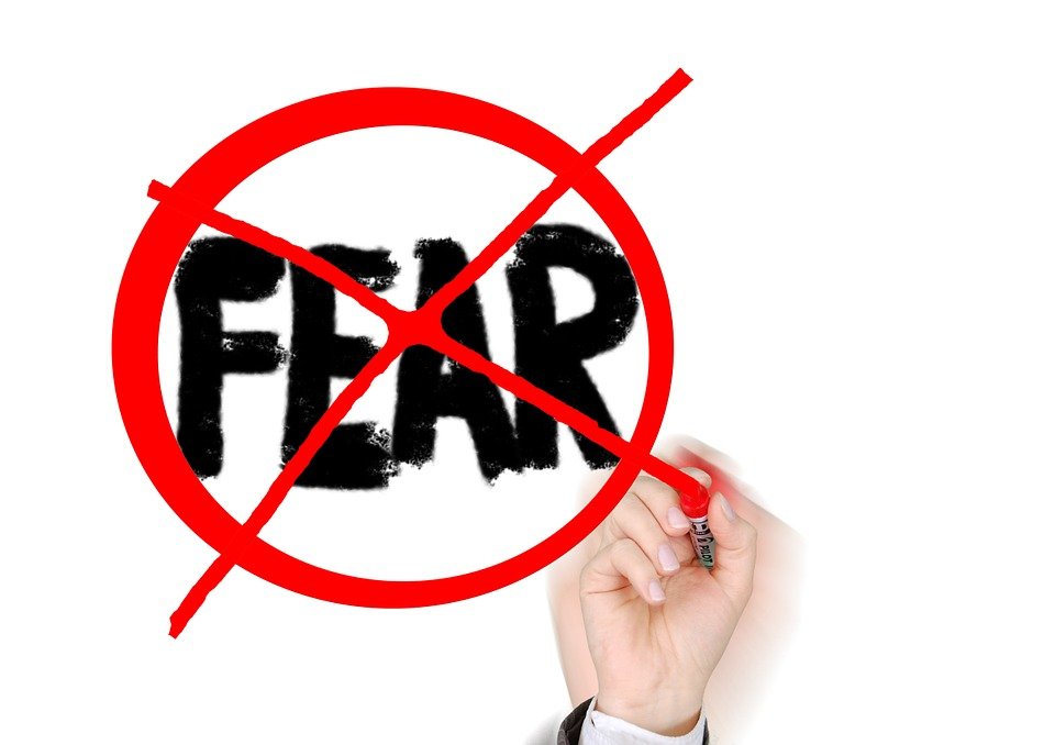 Why are organizations afraid of getting into an ERP project? fear not - Why are organizations afraid of getting into an ERP project?