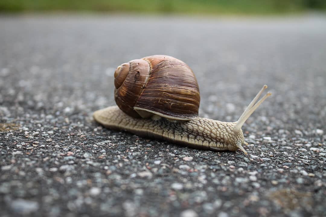 The Cost of Delays with System Enhancements slow systems - The Cost of Delays with System Enhancements
