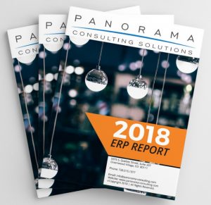 2018 ERP Report