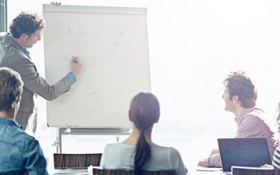 Standardization vs. Flexibility: How This Decision Drives Your Digital Transformation