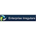 Enterprise Irregulars Logo