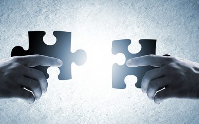 Panorama Consulting Solutions Merges With VEER Group