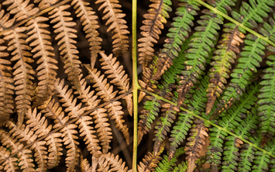 ERP-success-and-failure-stories