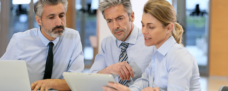 erp implementation in public sector
