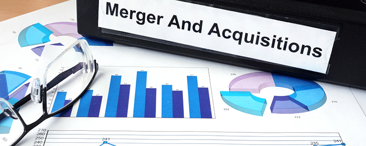 Private Equity & Venture Capital Insights: How to Help a Portfolio Company Achieve Merger Success