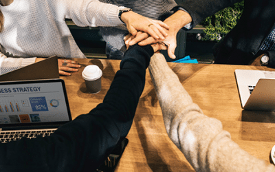 software expert witness team