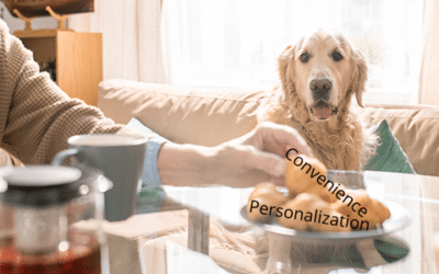 what is an ecommerce platform