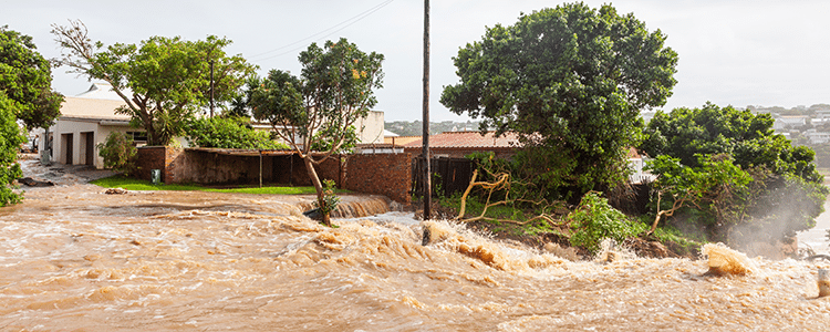 Supply Chain Resilience in the Face of Natural Disasters