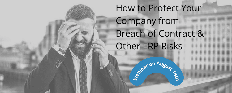 erp expert witness webinar