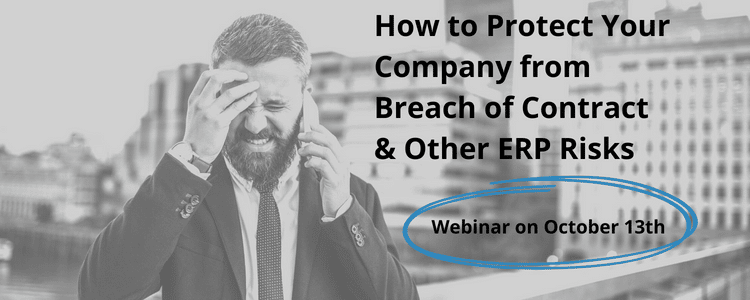 ERP risk webinar