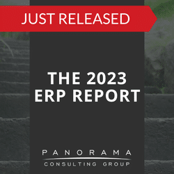 2023 erp report