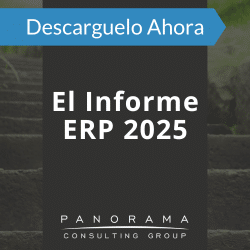 el informe erp de 2025
