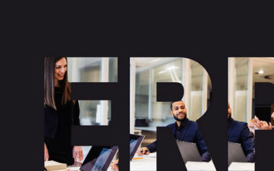 what does an ERP consultant do