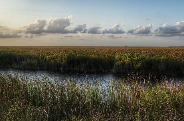 florida national forests